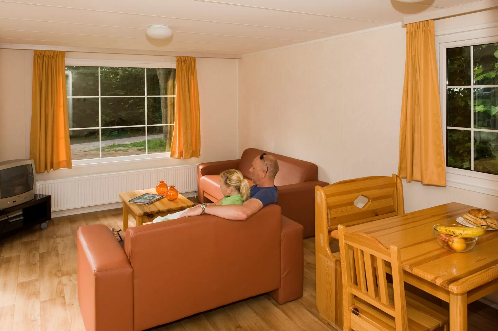 Vakantiepark Hunzedal 13-Wohnzimmer