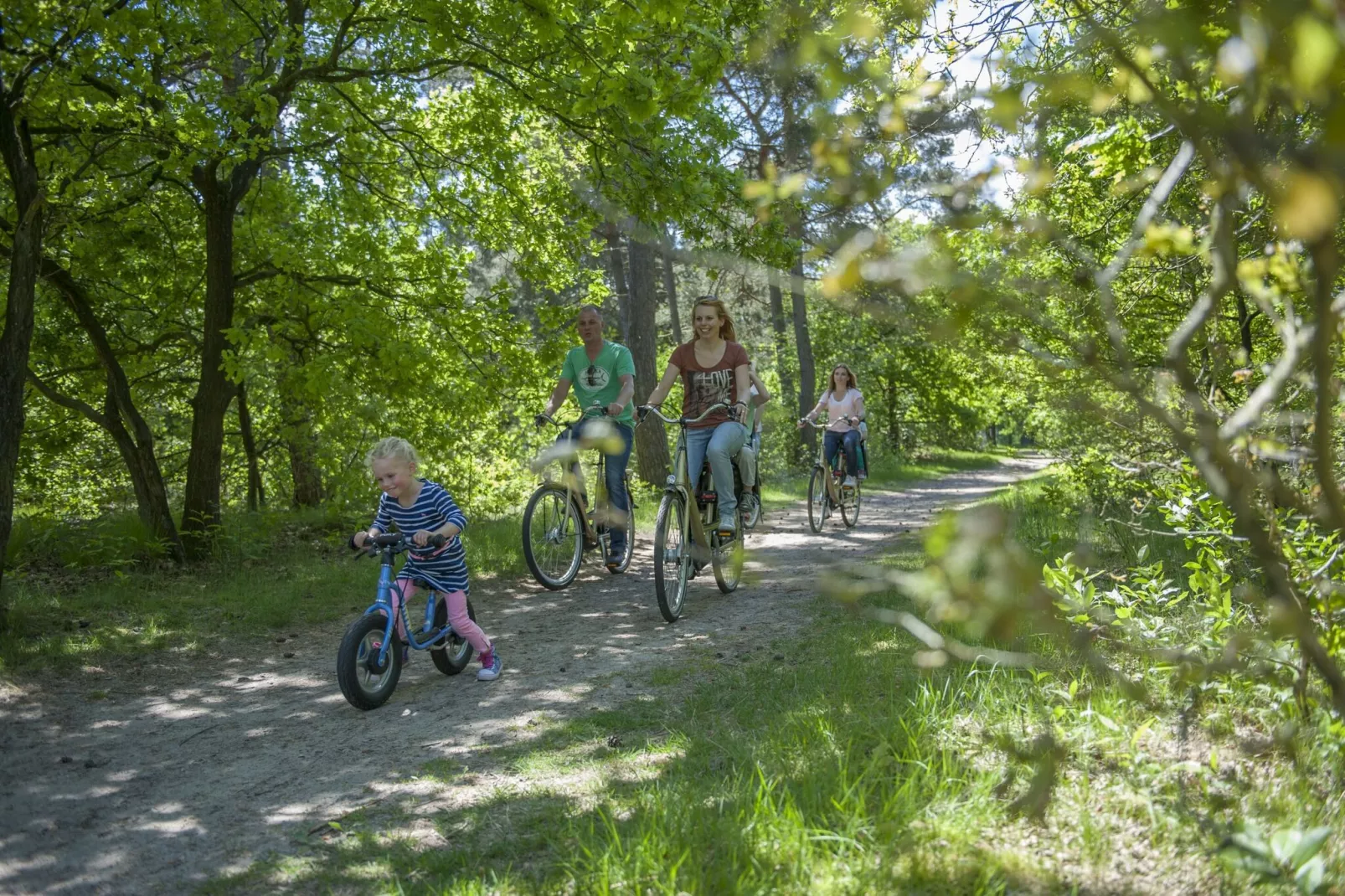 Vakantiepark Hunzedal 13-Gebiete Sommer 1 km