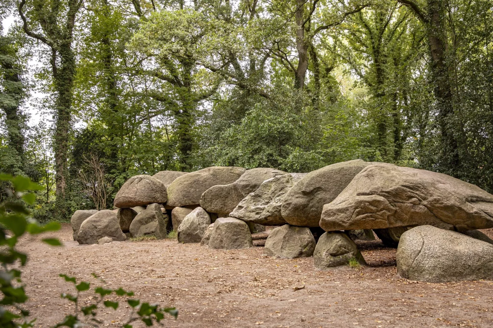 Vakantiepark Hunzedal 13-Gebiete Sommer 1 km