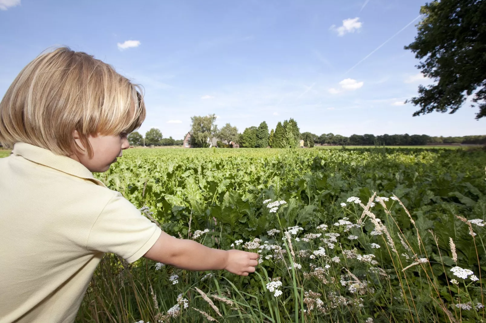 Vakantiepark Hunzedal 13-Gebiete Sommer 5 km