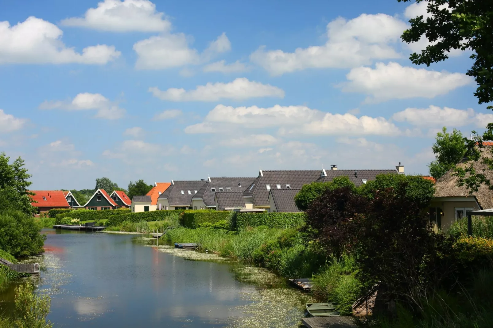 Vakantiepark Emslandermeer 1-Areas summer 1km