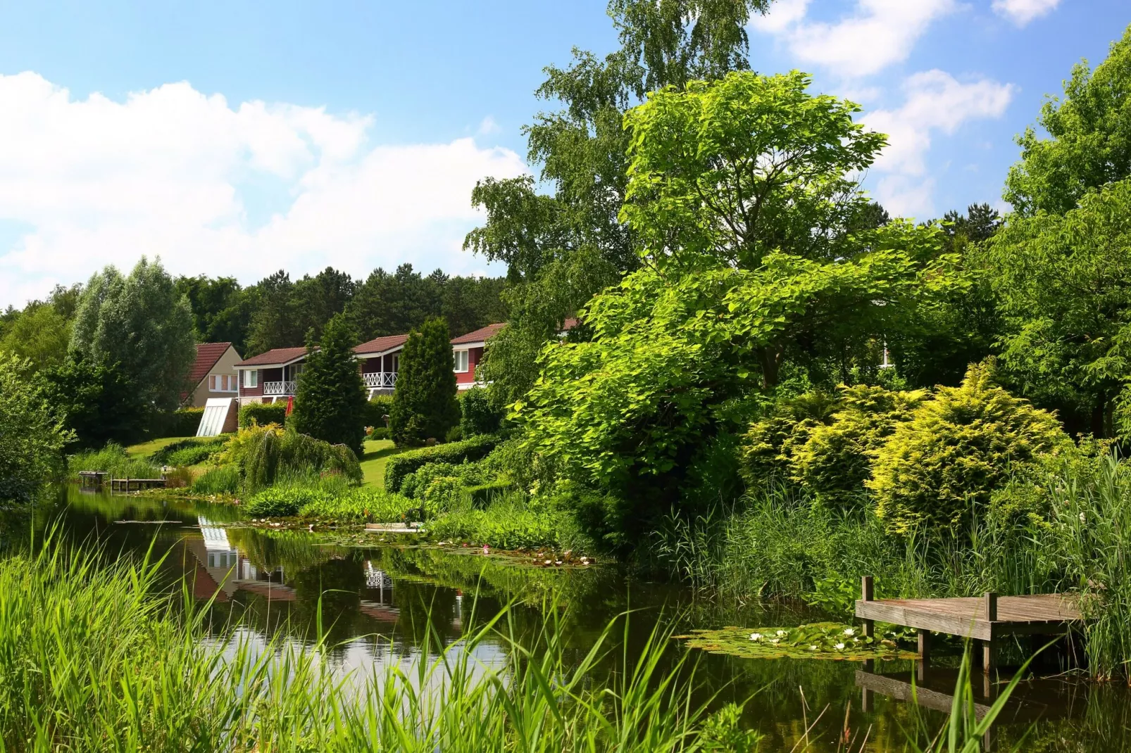 Vakantiepark Emslandermeer 3-Areas summer 1km