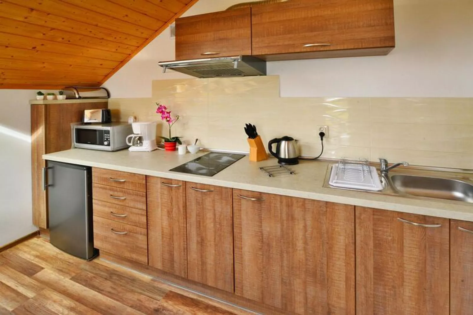 Apartmenty wakacyjne Sianożęty-Kitchen