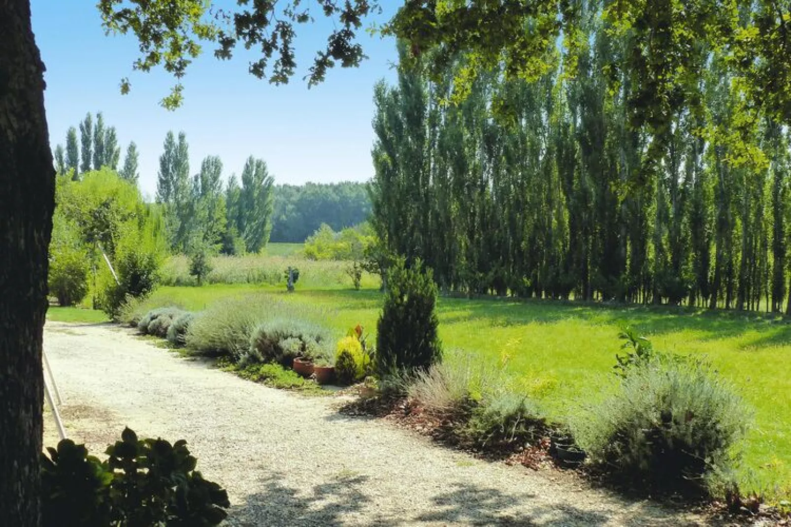 Doppelhaushälfte in Beaucaire-Gardens summer