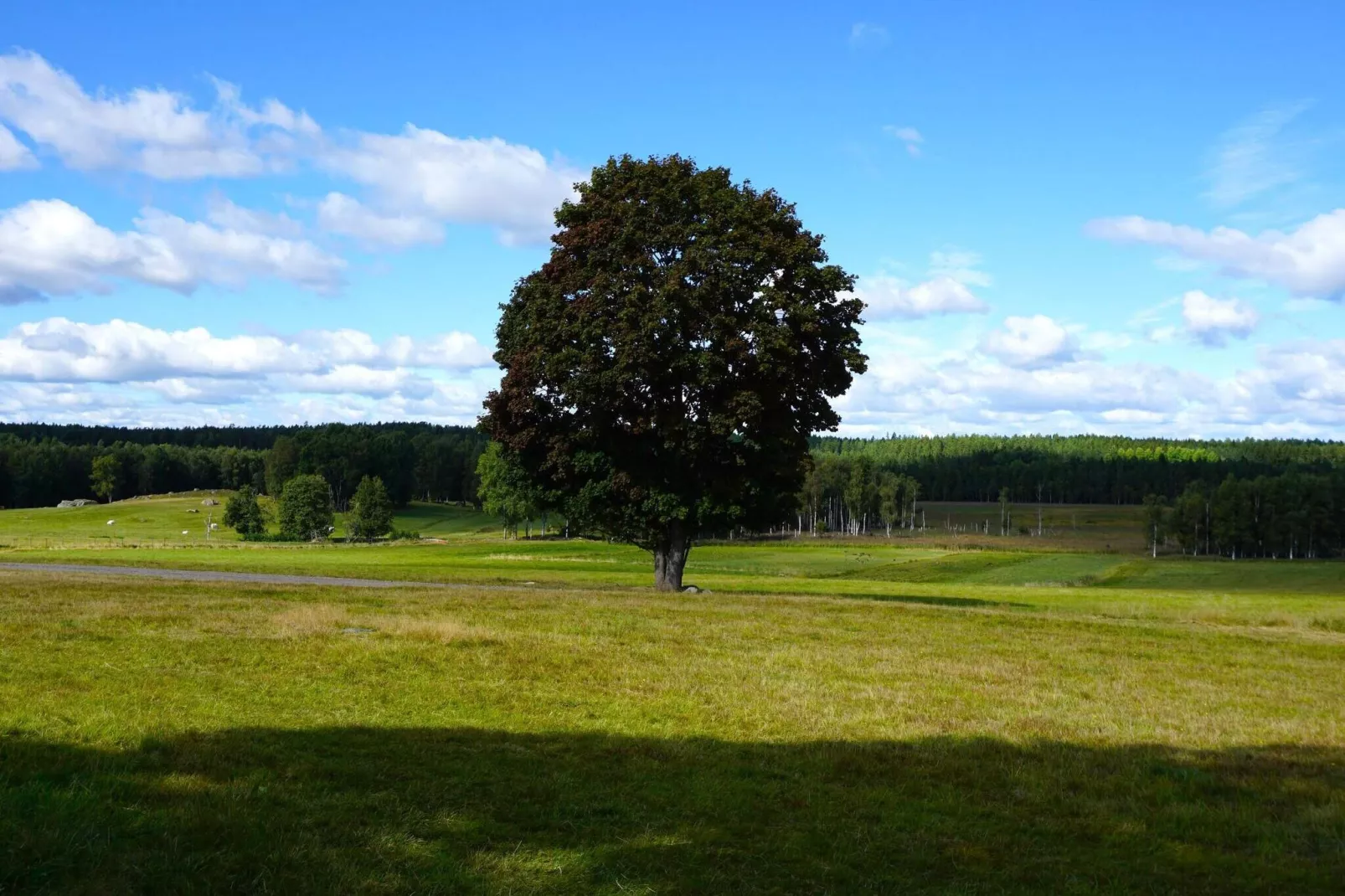 4 person holiday home in Högsjö-By Traum-Not tagged