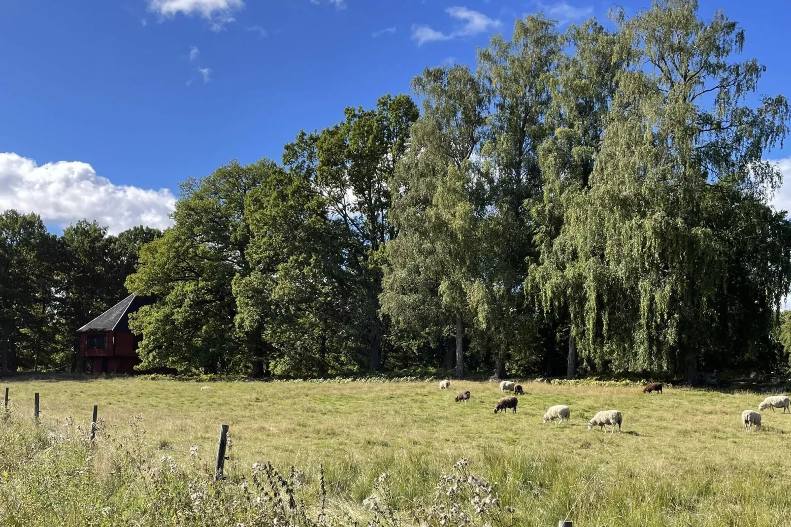 4 person holiday home in Högsjö-By Traum-Not tagged