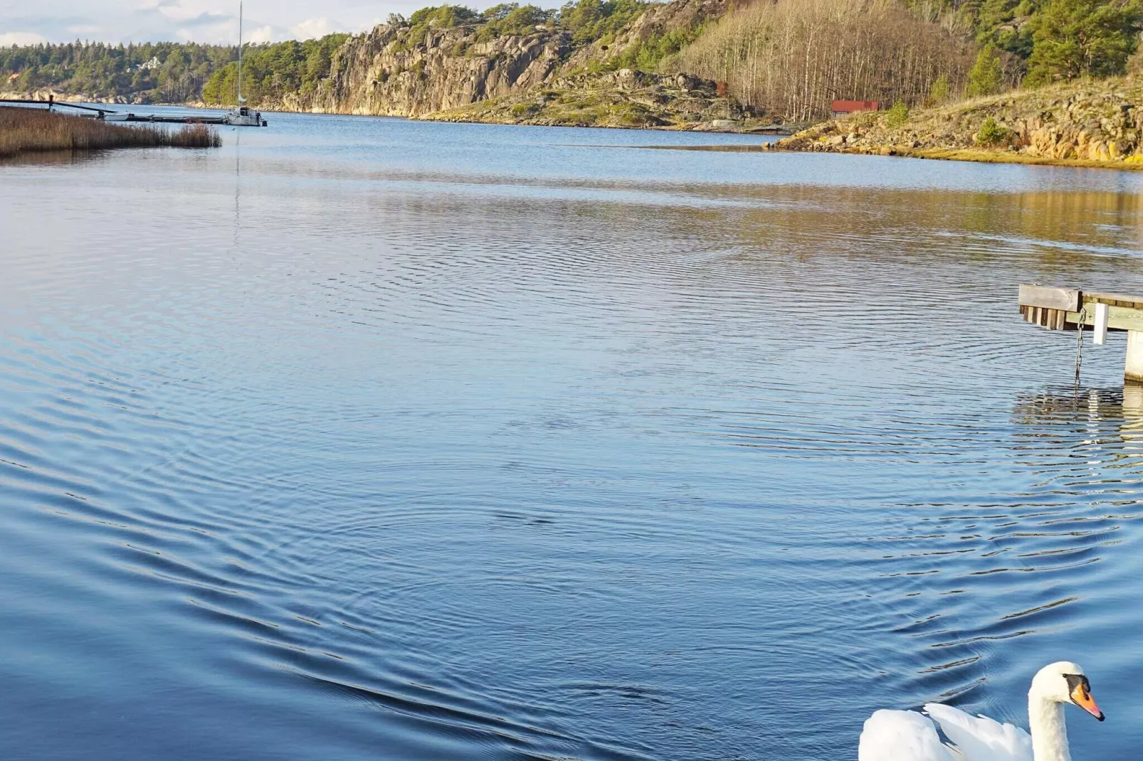4 person holiday home in STRÖMSTAD-Not tagged