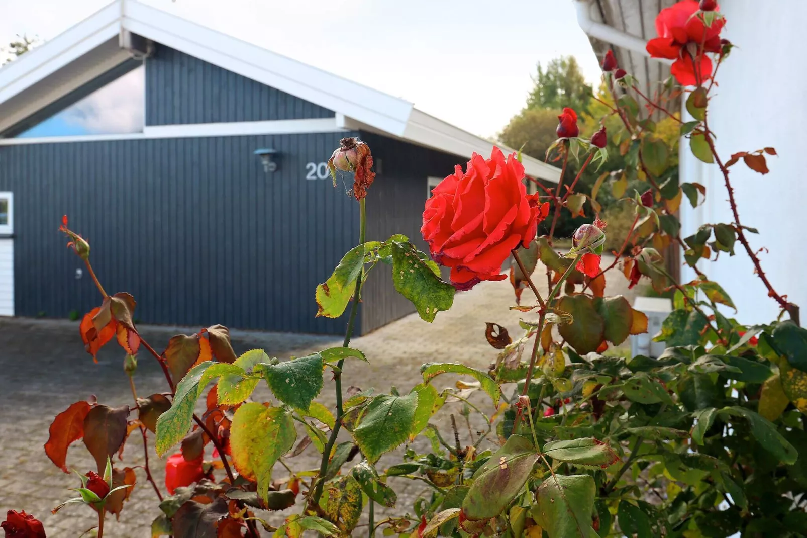 8 Personen Ferienhaus in Frørup-By Traum
