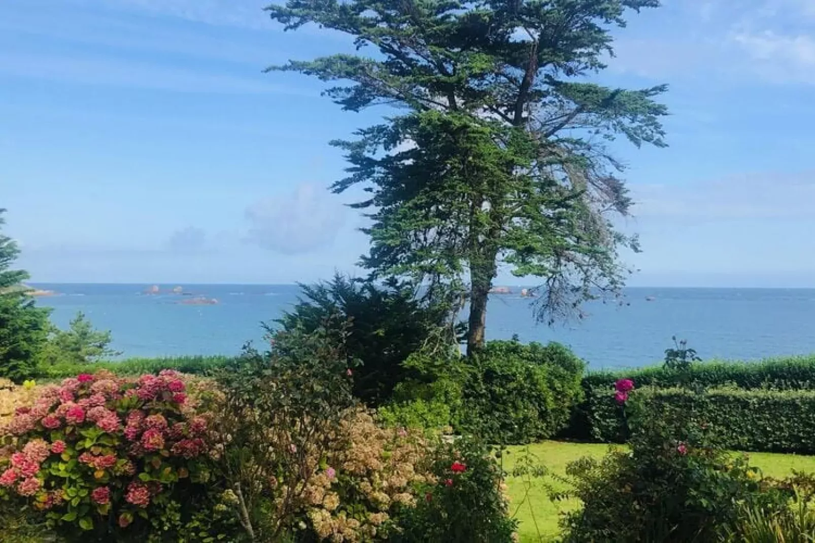 Villa Plougasnou-Gardens summer