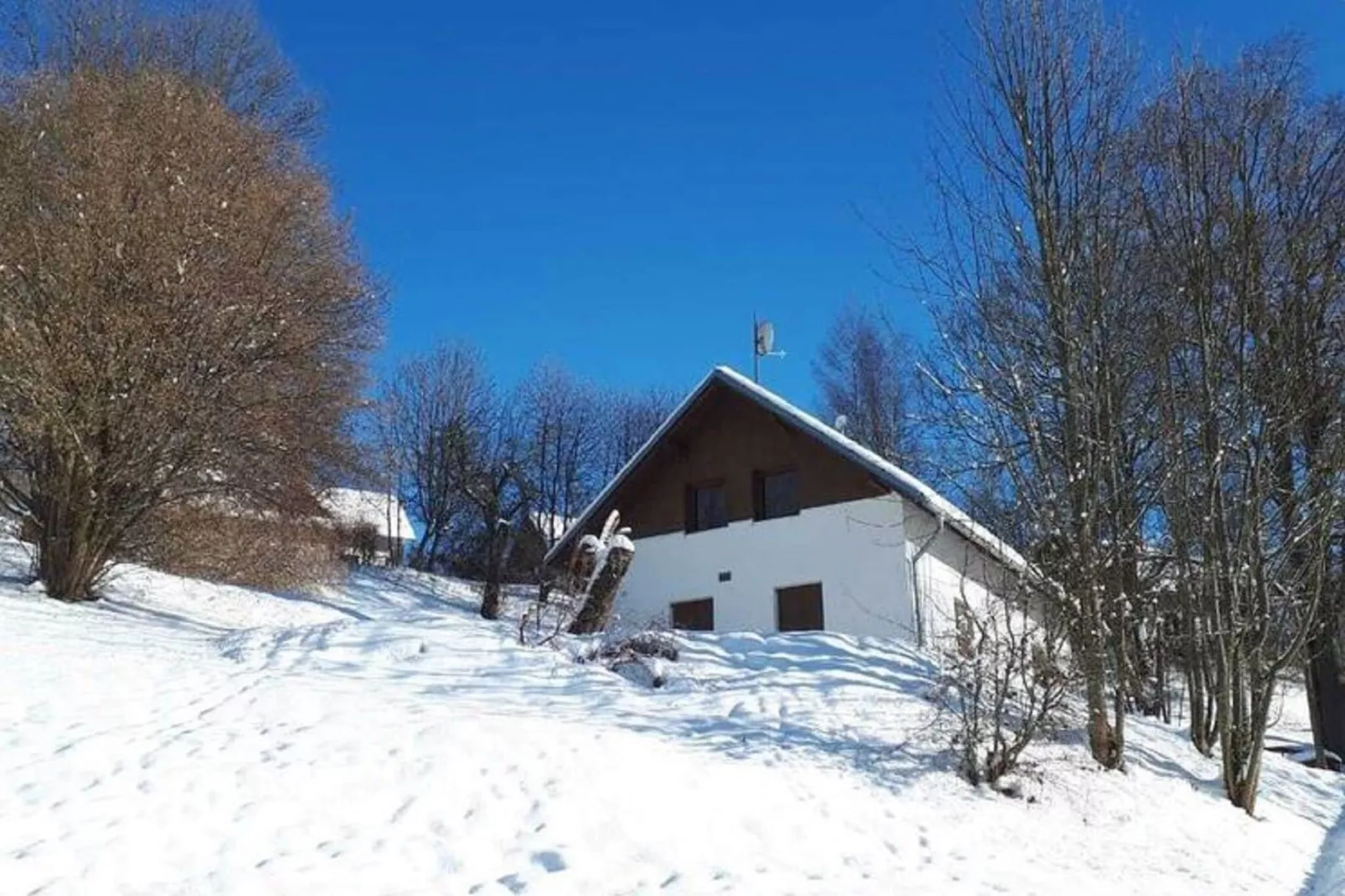 Chalet no 5-Garden winter