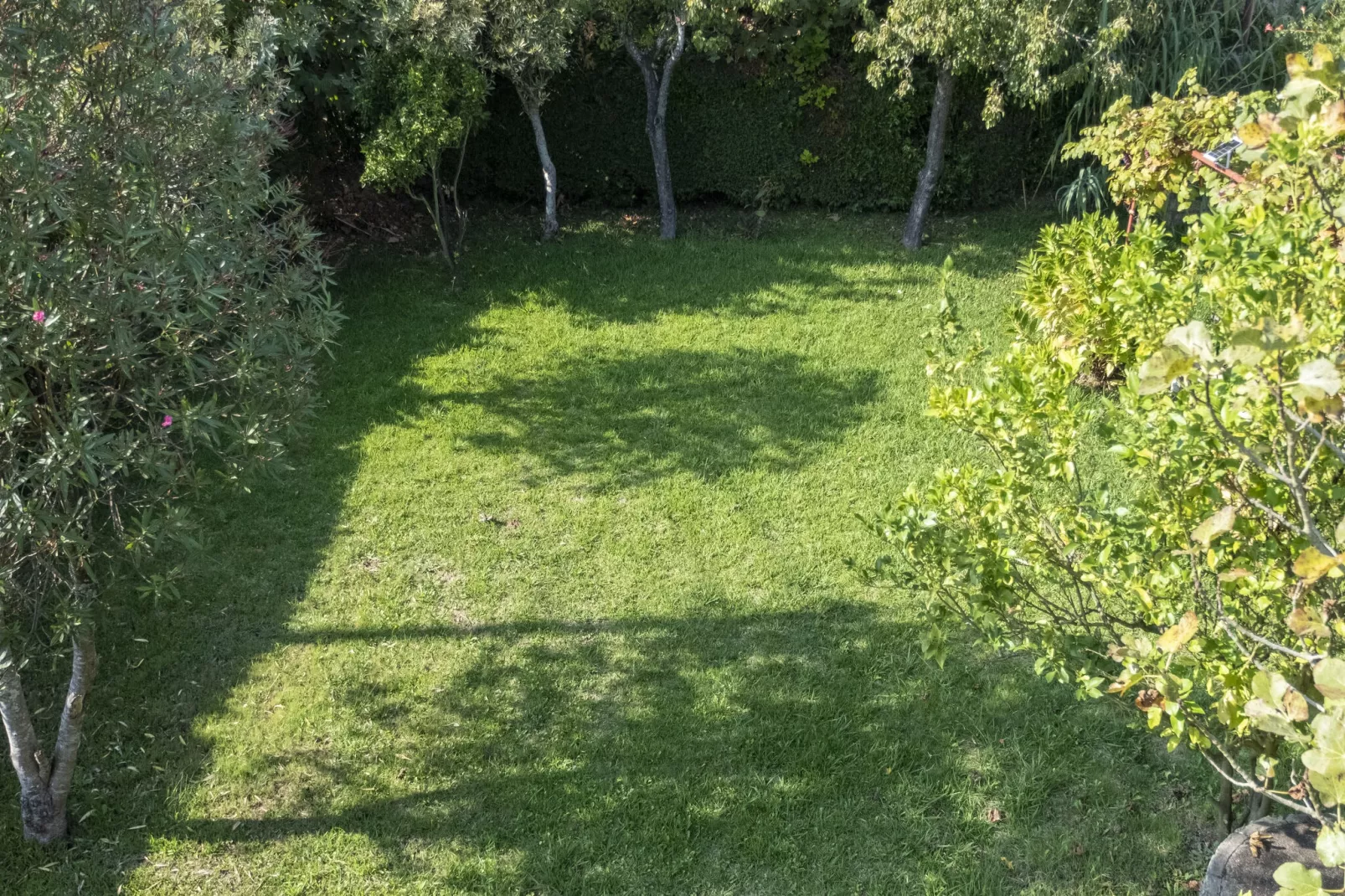 Apartamento Lugar Major Playa-Gardens summer