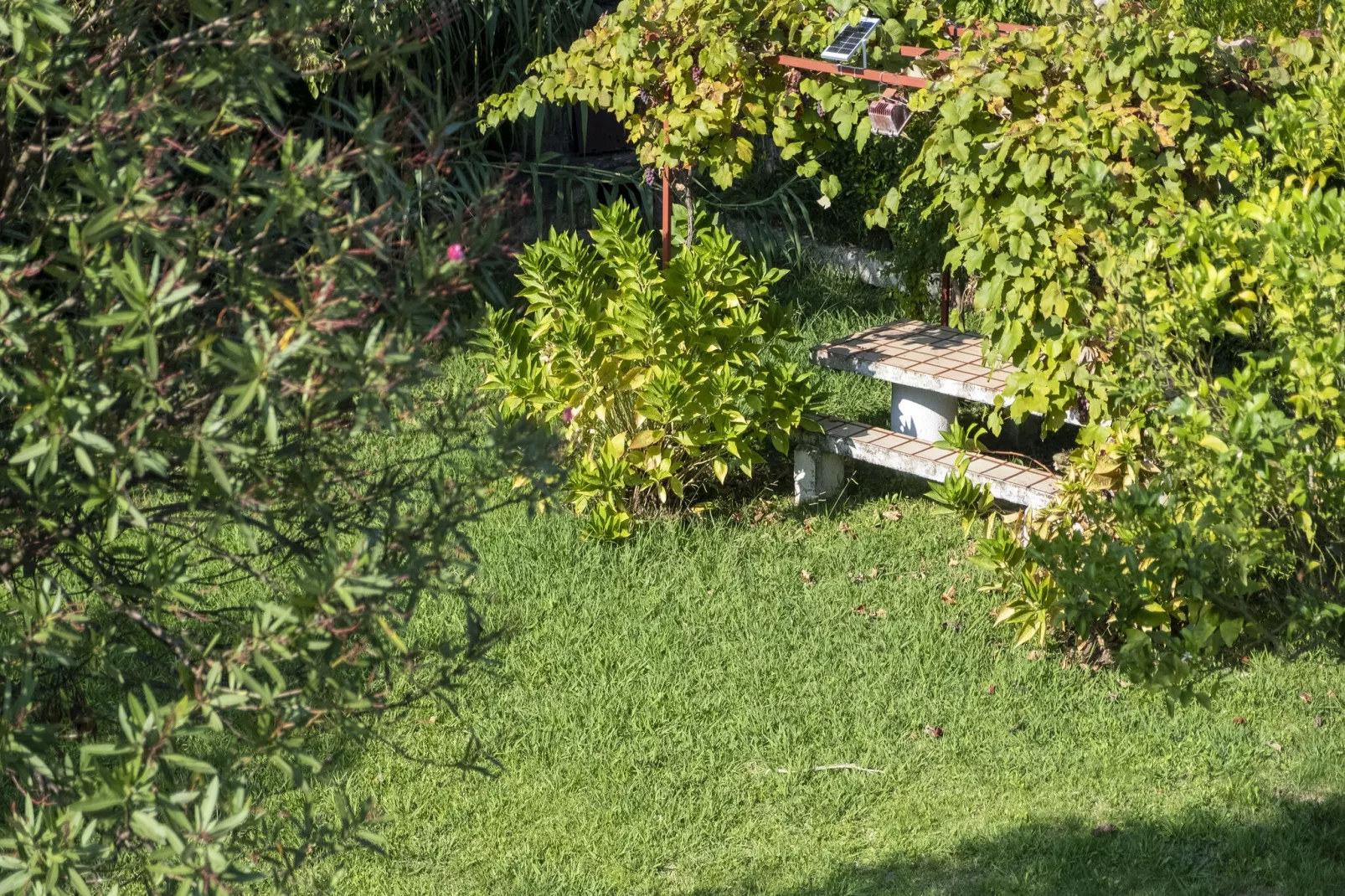 Apartamento Lugar Major Playa-Gardens summer