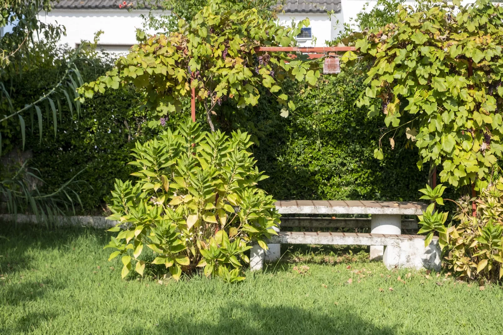 Apartamento Lugar Major Playa-Gardens summer