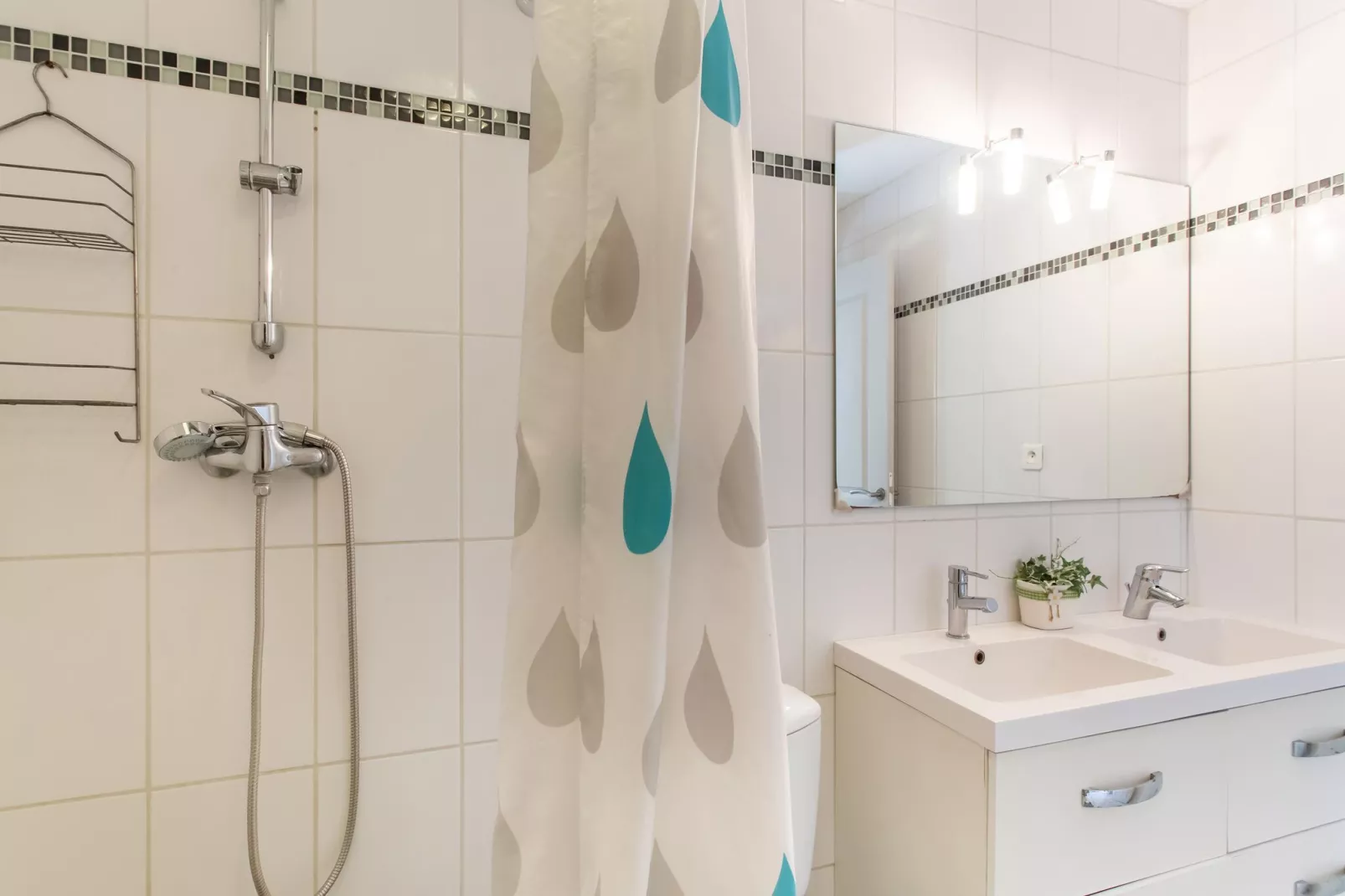Berre les Alpes-Bathroom