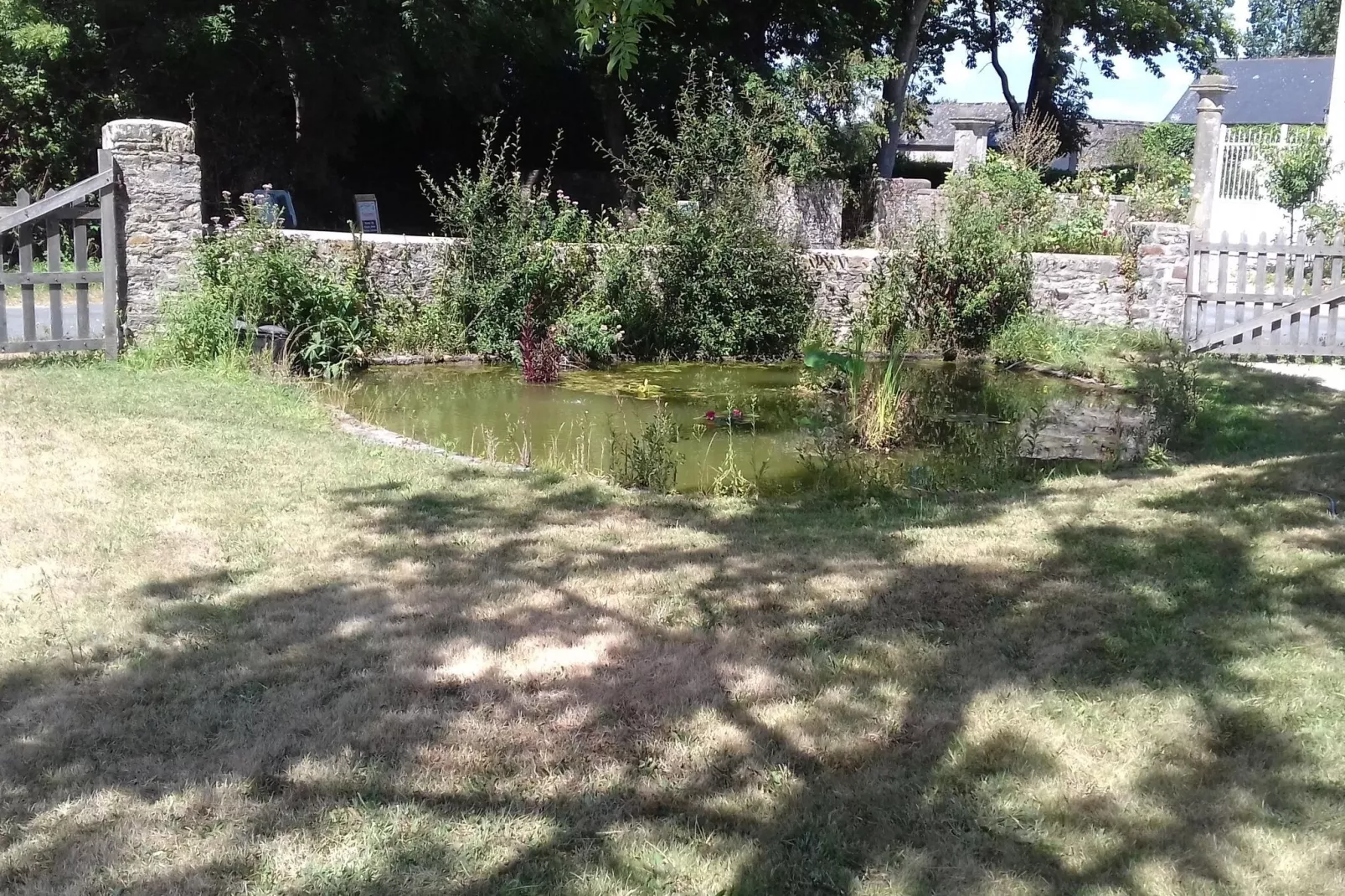 Holiday home Denneville-Garten Sommer