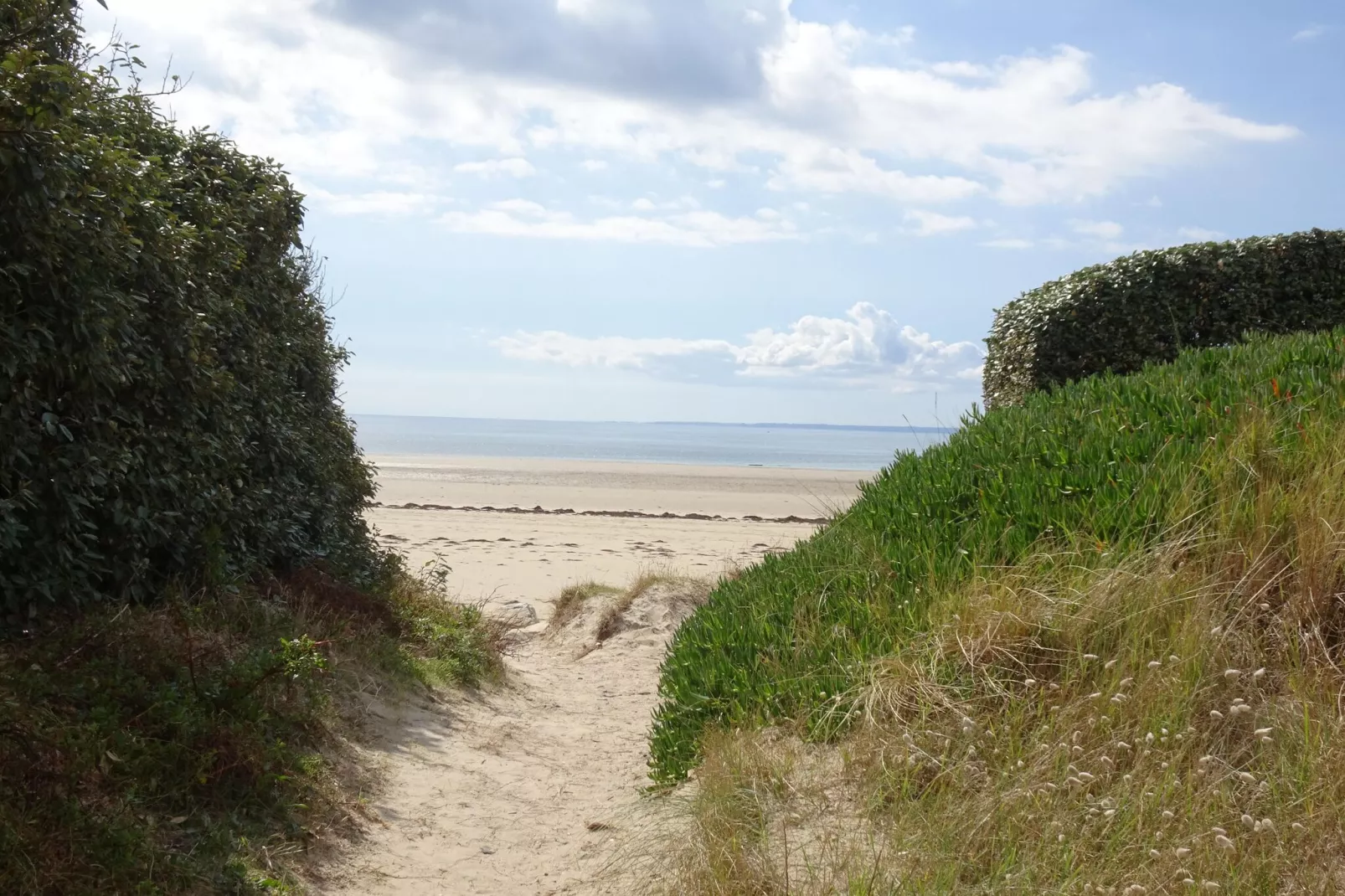 Holiday home Denneville-Gebiete Sommer 5 km