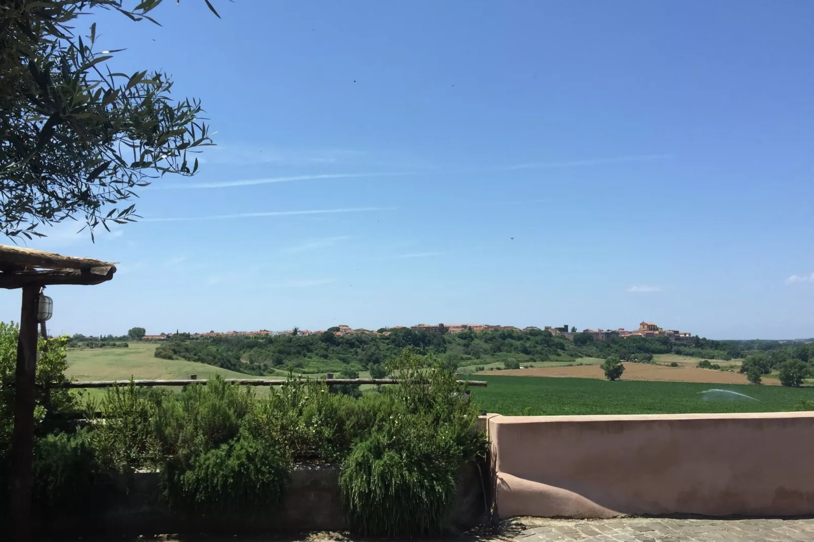 Corbezzolo-View summer