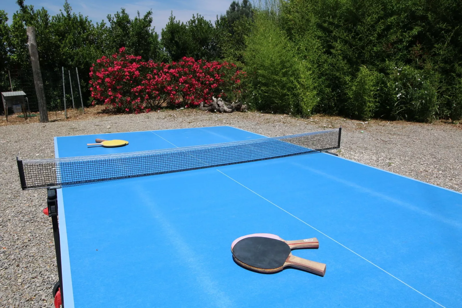 Corbezzolo-Facilities