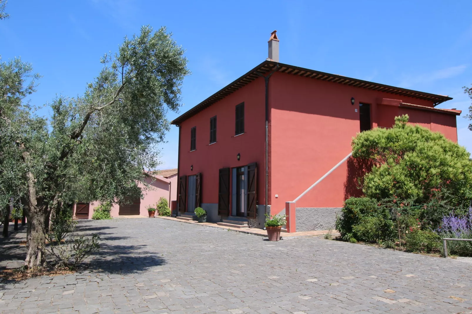 Ginepro-Exterior in summer