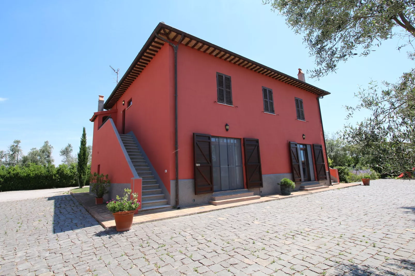 Ginepro-Exterior in summer