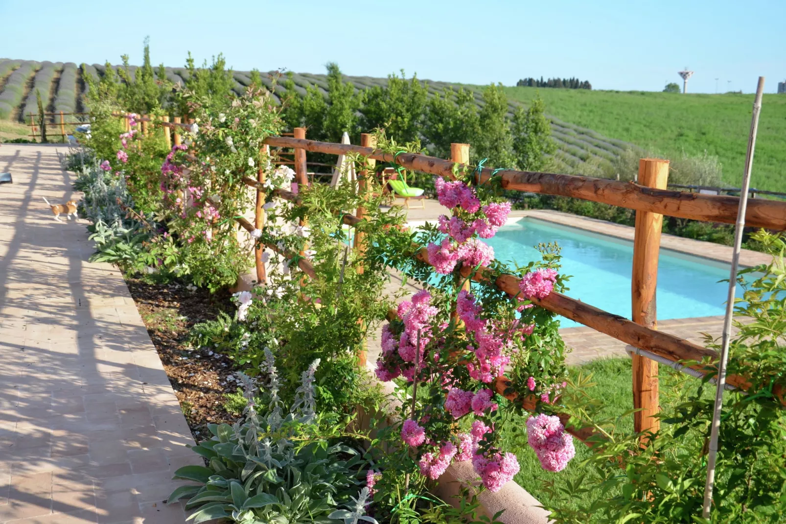 Ginestra-Piscine