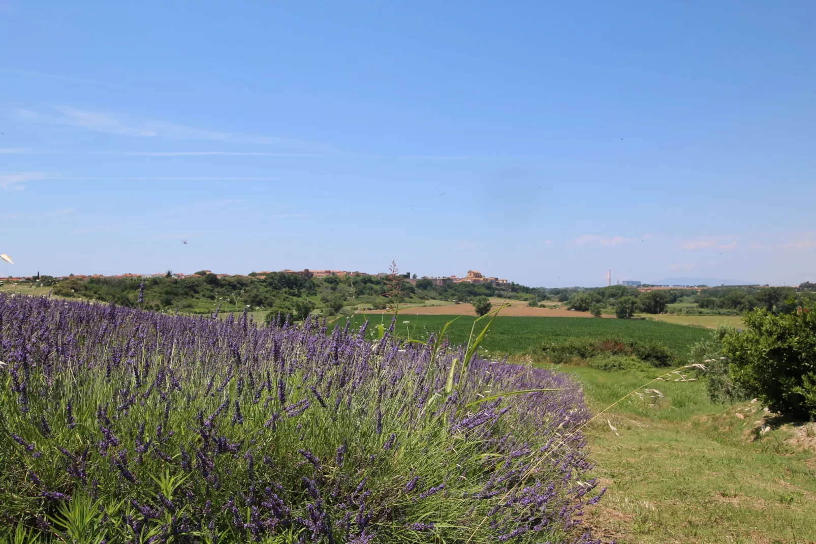 Ginestra-Jardins en été