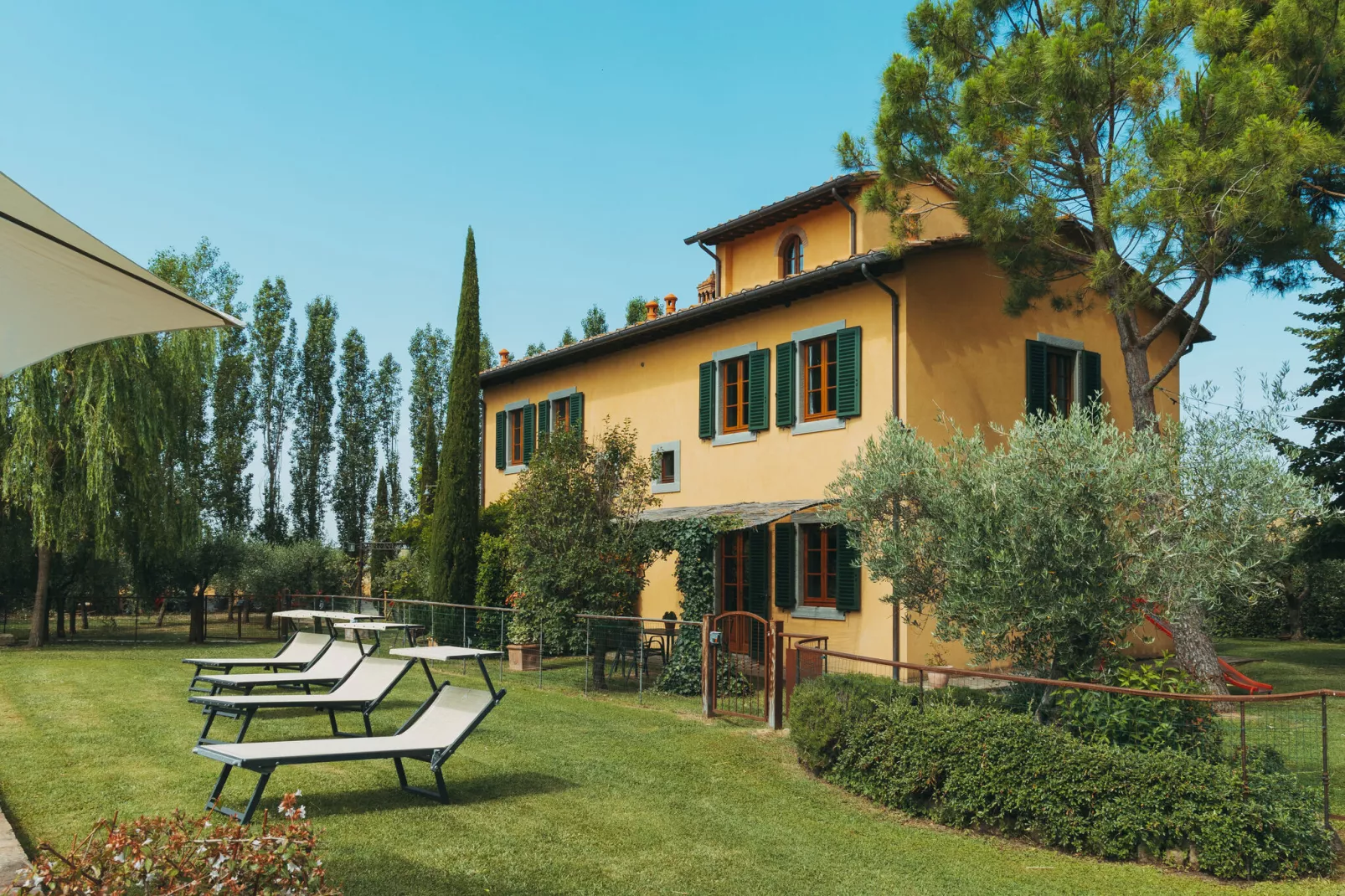 Due Olivi-Exterior summer