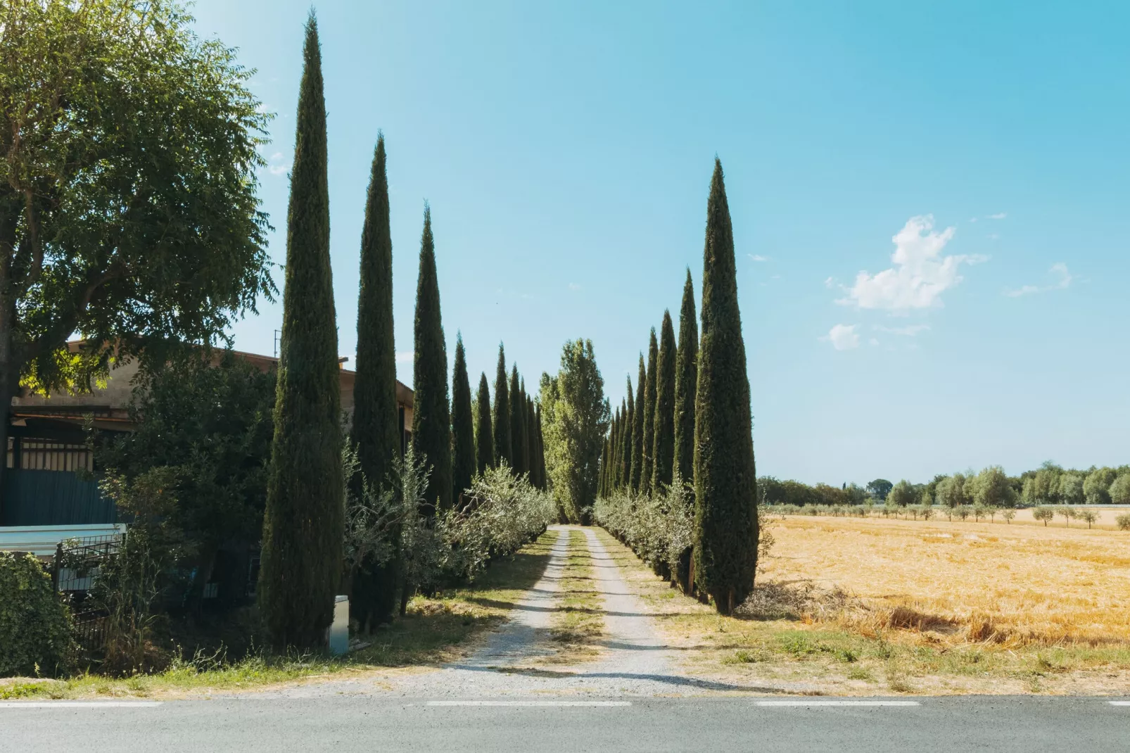 Melograno-Exterior summer