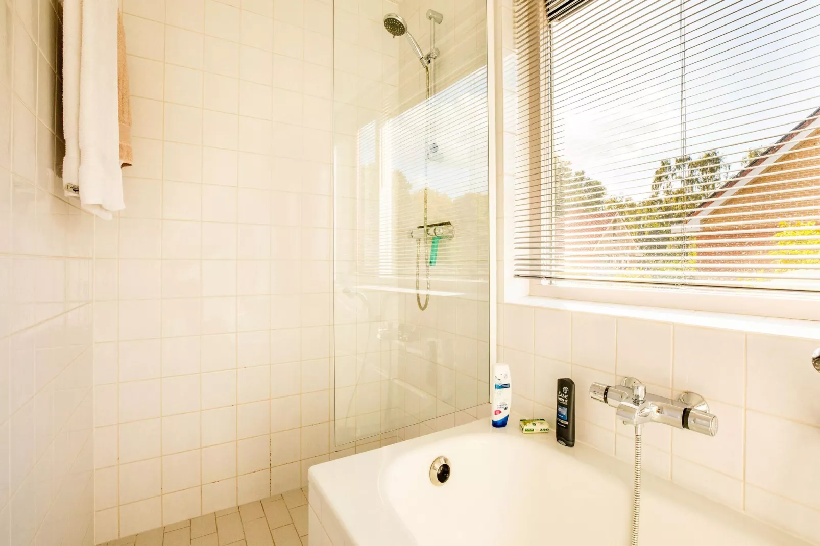 Vakantiewoning Blauw-Badezimmer