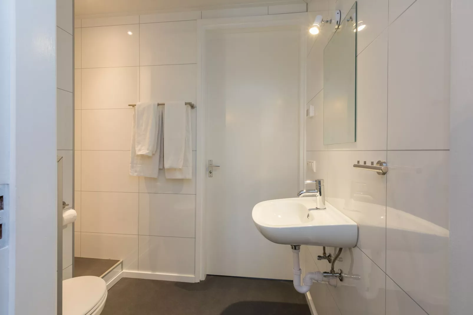 Vroondijk 2-Zeebloesempje-Bathroom