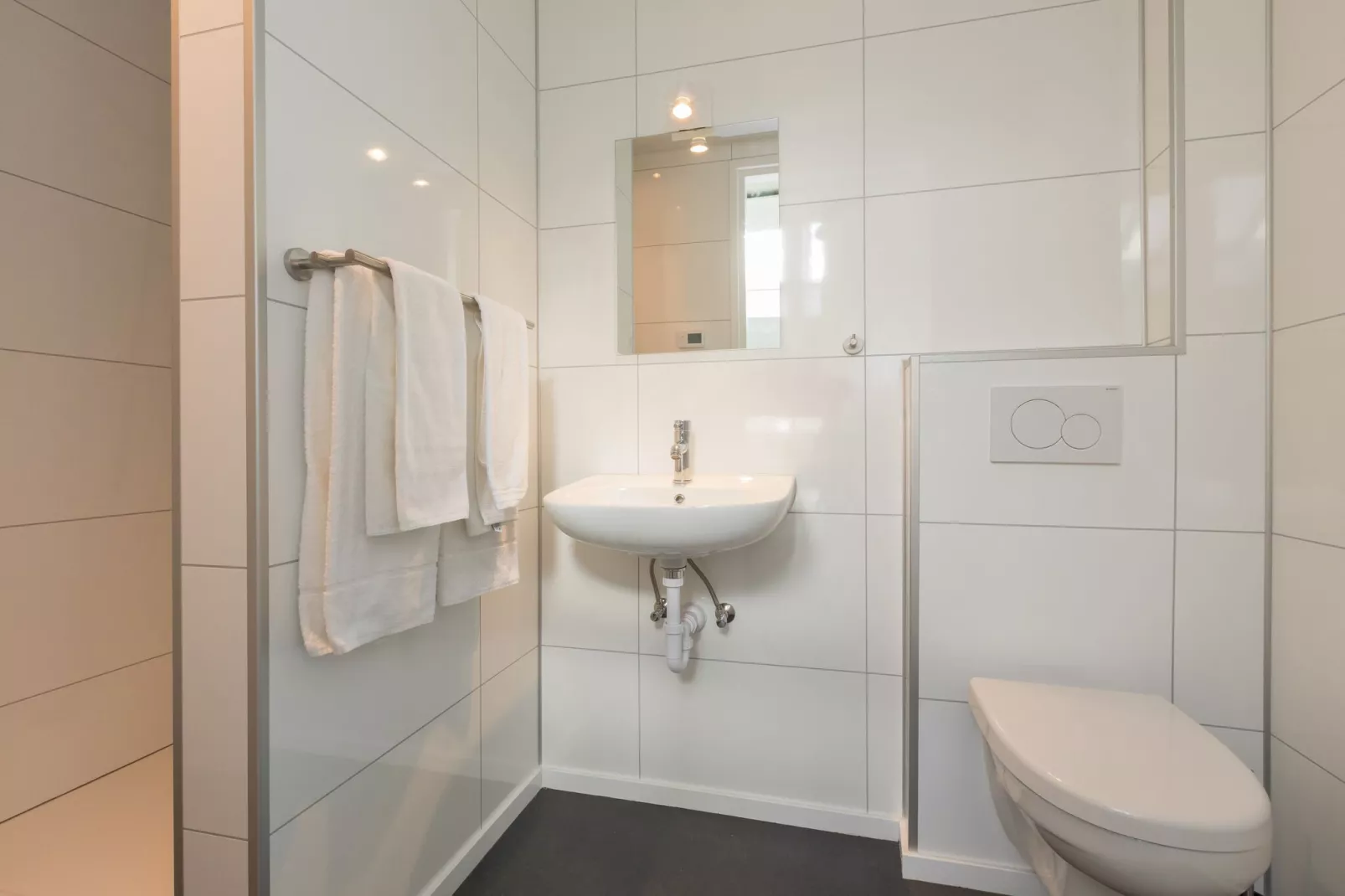 Vroondijk 2-Zeebloesempje-Bathroom