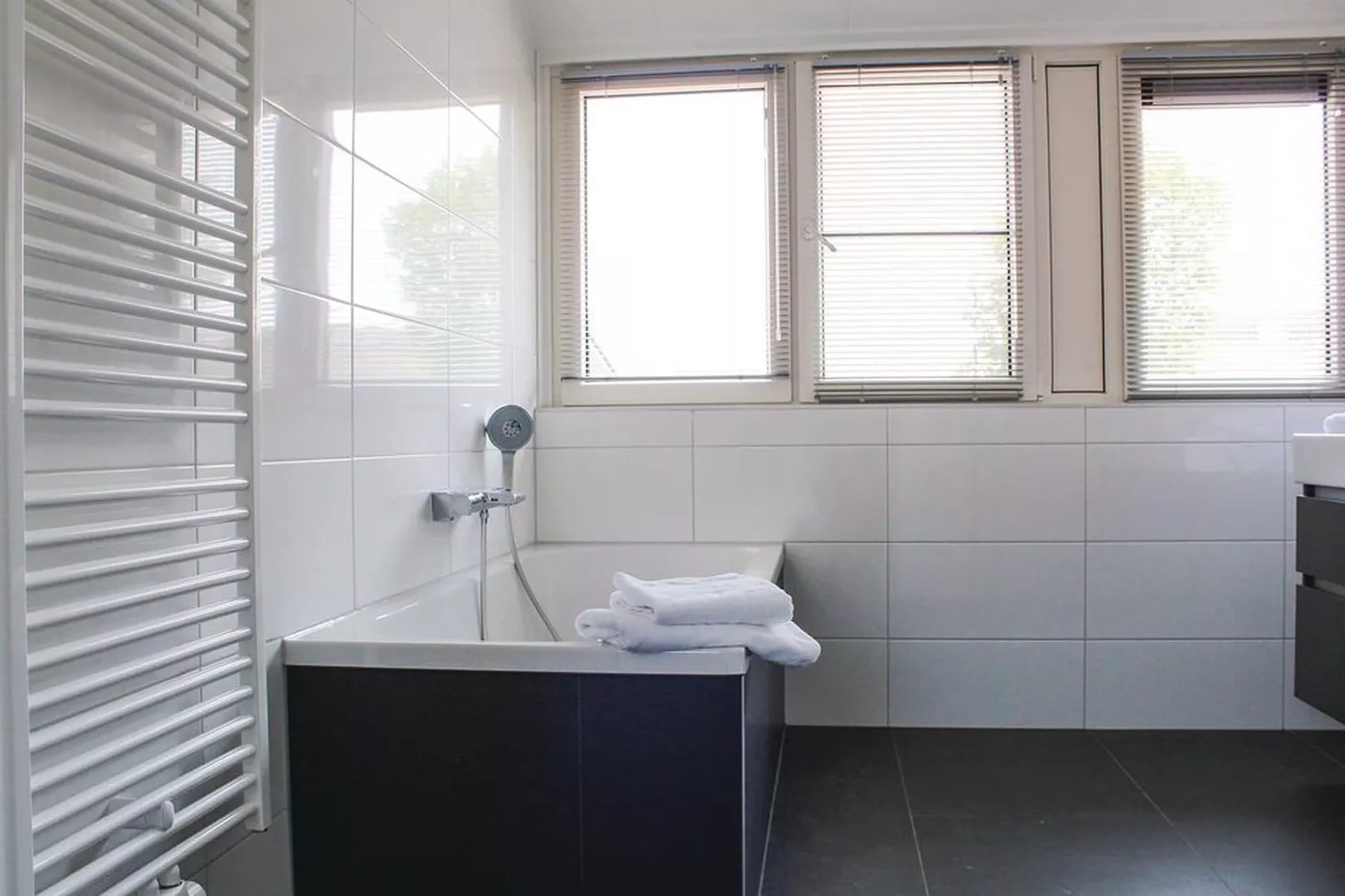 Recreatiepark Idskenhuizen 6-Bathroom