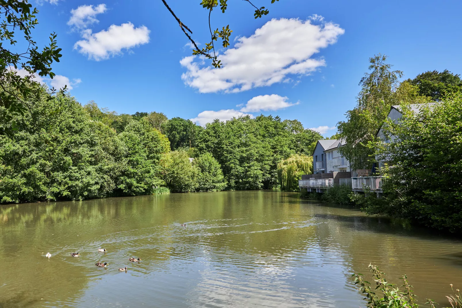 Holiday village Normandy Garden Branville - M6O Standard House 6 p - 2 bedrooms - duplex-M6O Standard House 6 p. - 2 bedrooms - duplex-Außenbereich