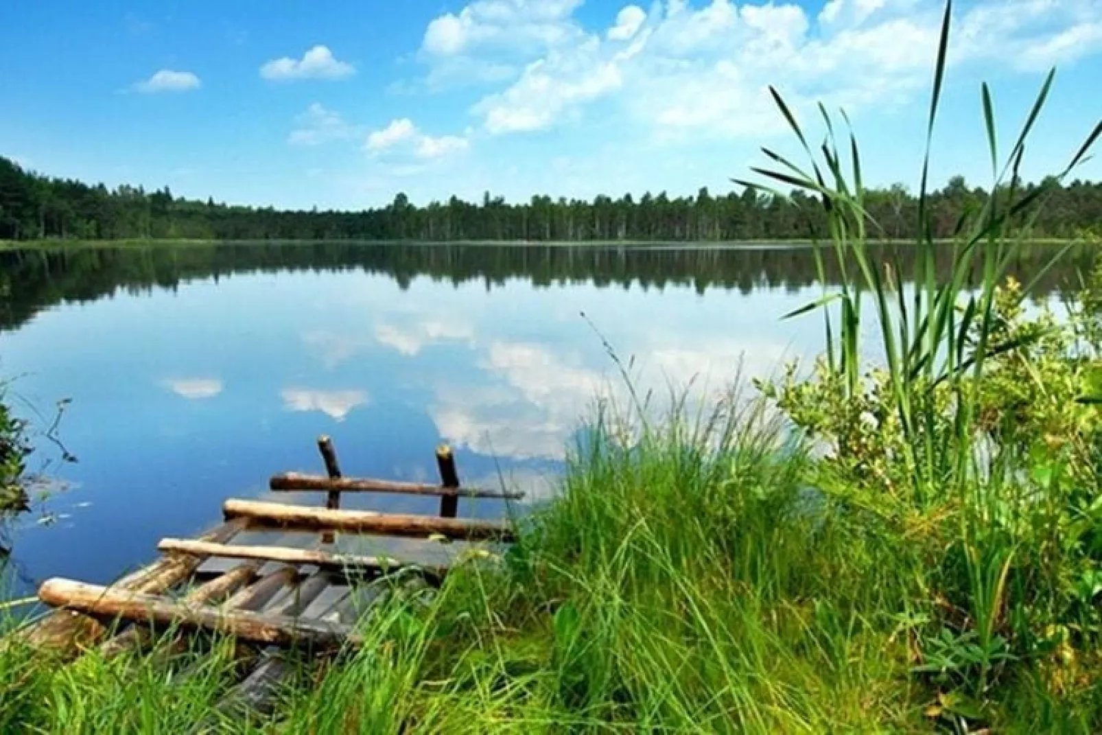 Domki wakacyjne z basenem Osieki-Areas summer 1km