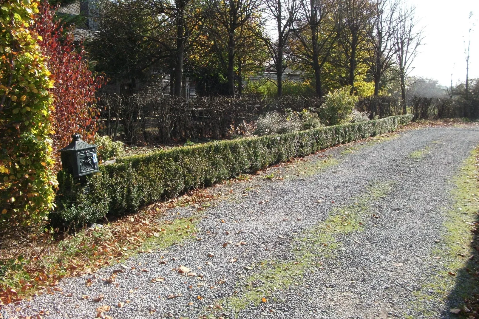 Domaine des Bouts de Fagnes-Exterior summer