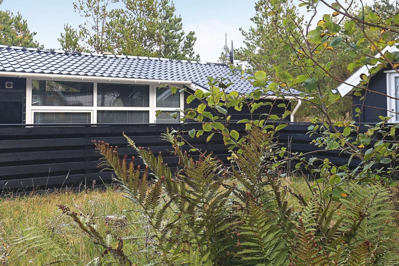 5 person holiday home in Thisted-By Traum-Outdoor