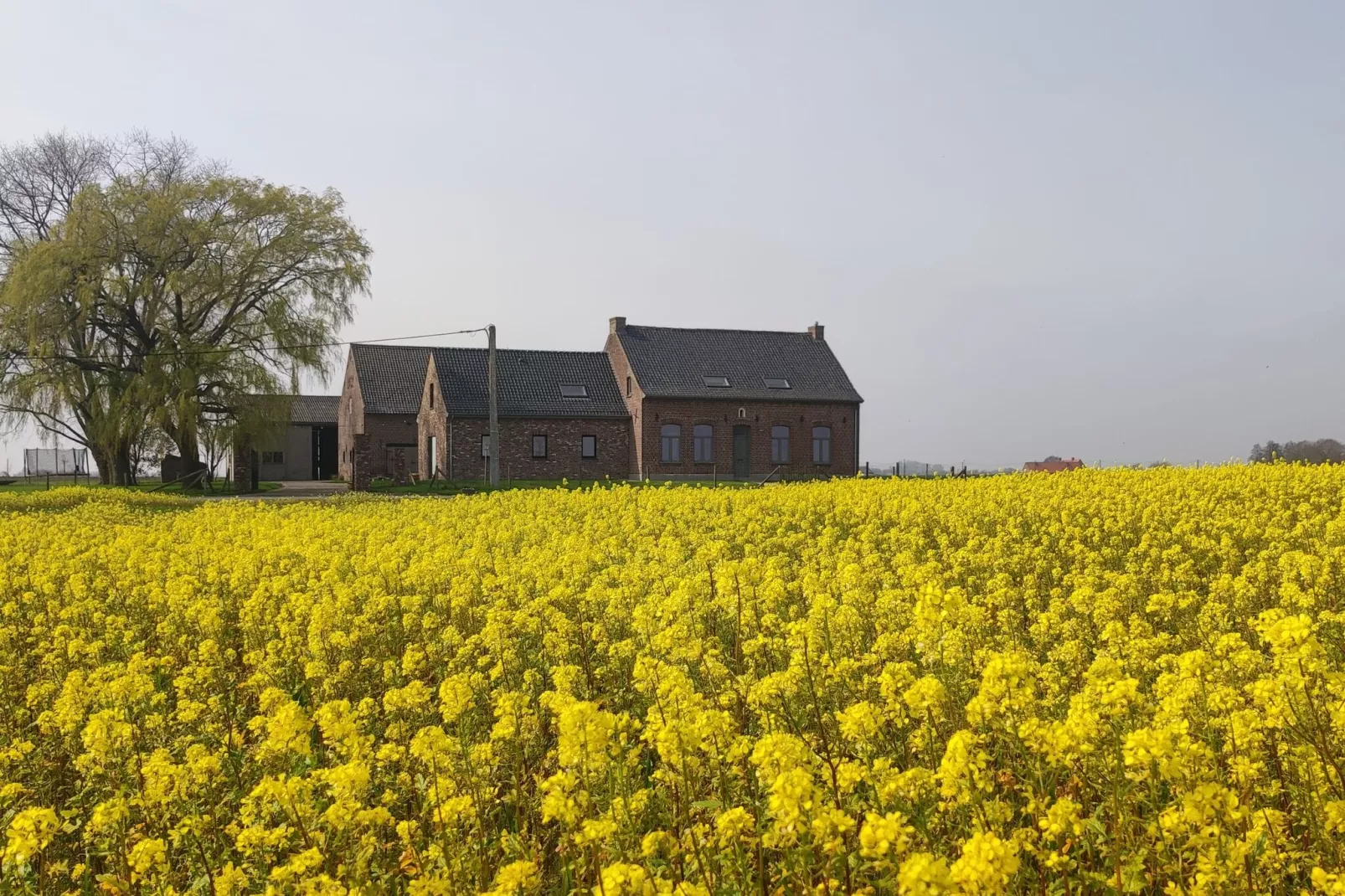 De Korte Lindehoeve-Exterior summer