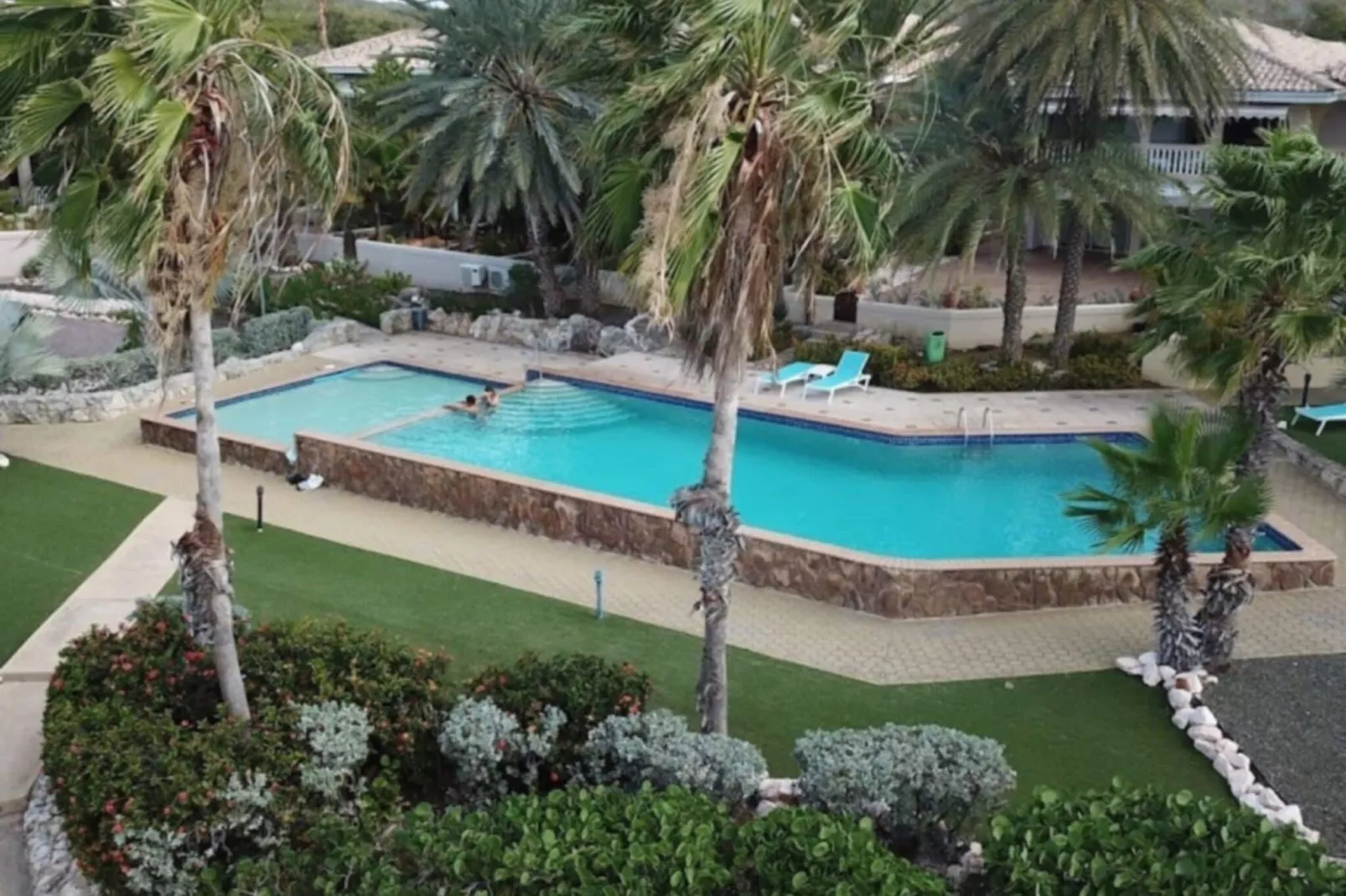 Dolphin View Mambo Beach-Pool