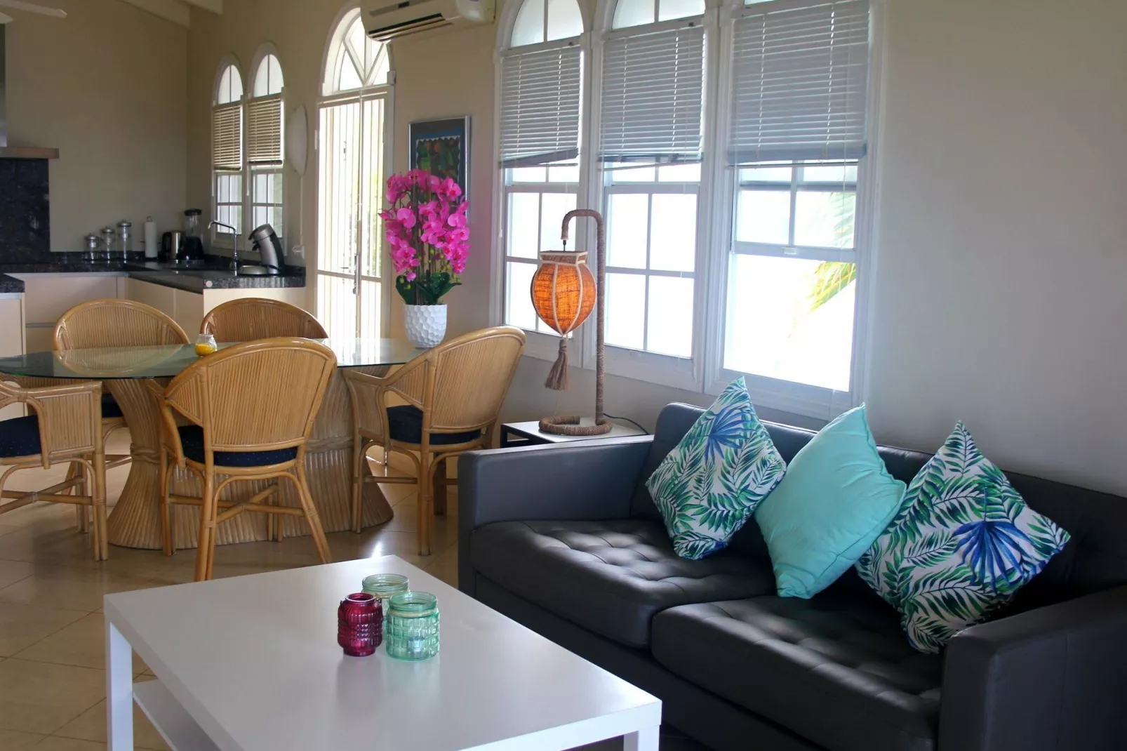 Dolphin View Mambo Beach-Living room