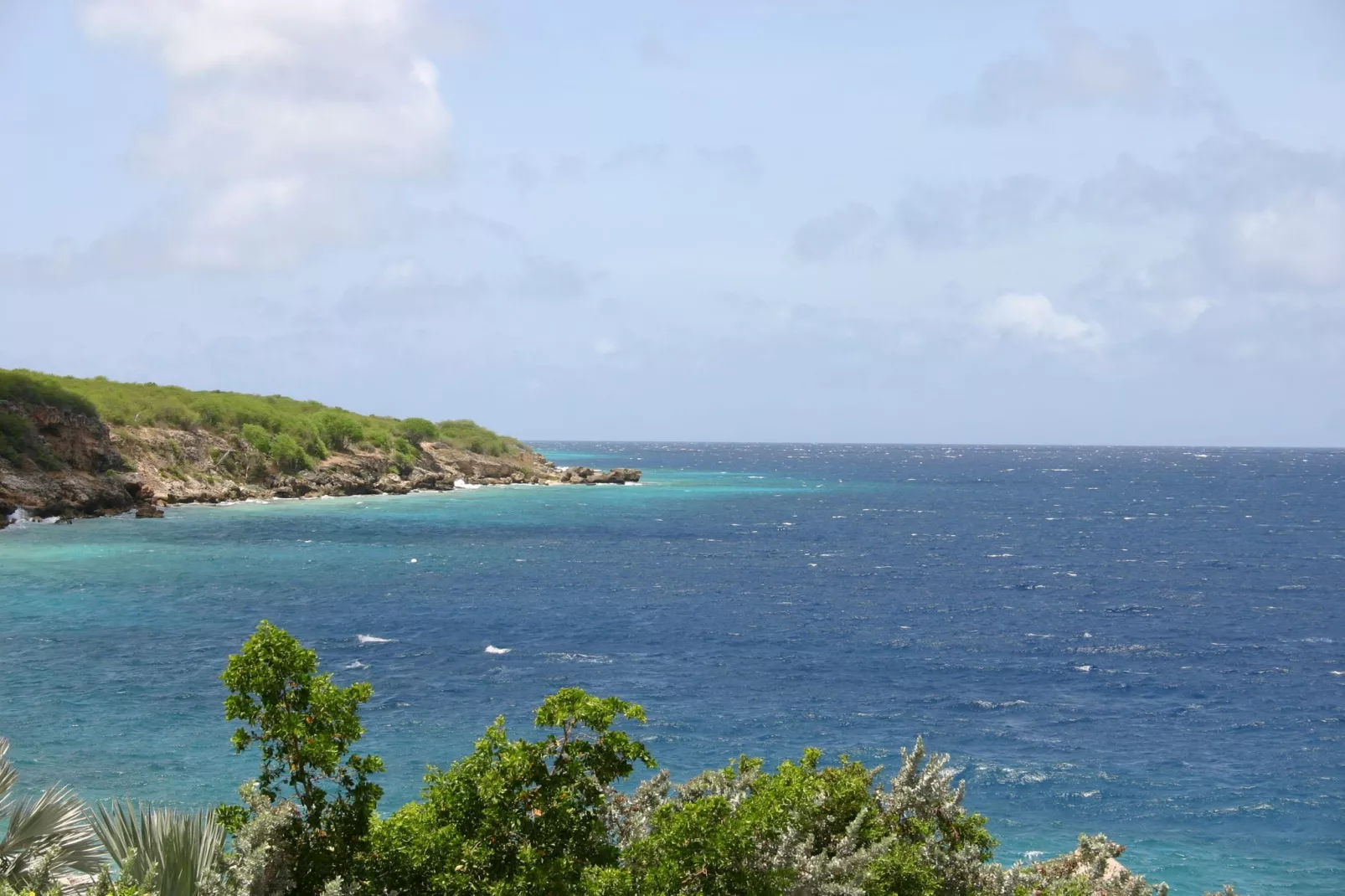 Dolphin View Mambo Beach-Areas summer 5km