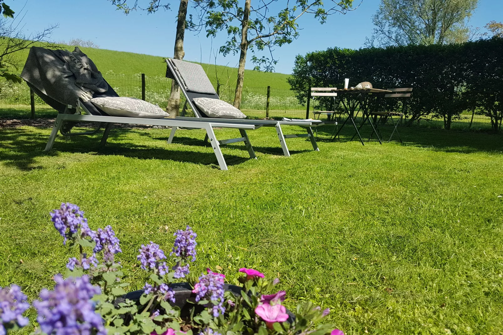 Het Karreveld-Gardens summer