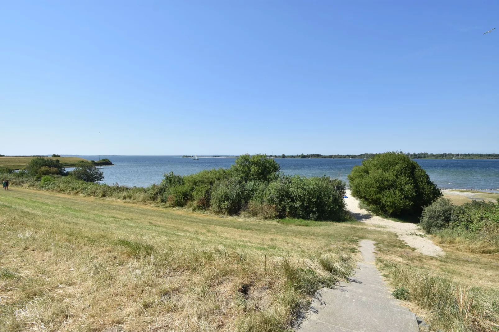 Het Karreveld-Areas summer 1km