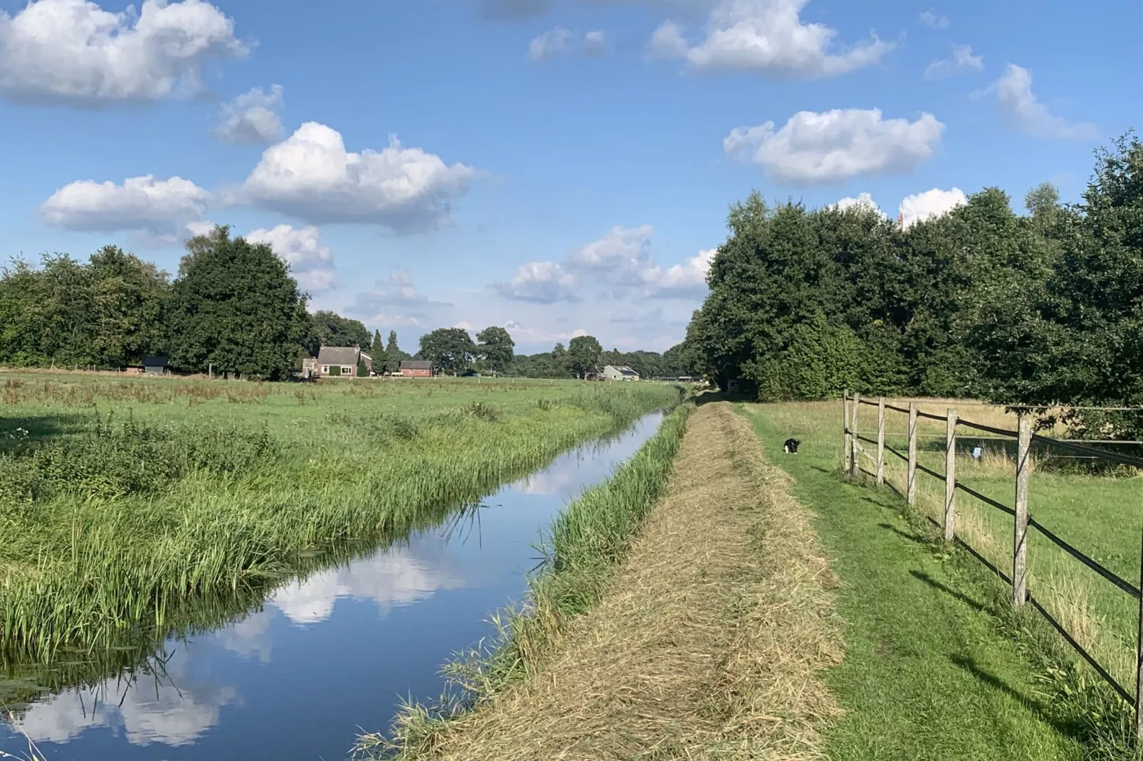 Ganzenmars-Areas summer 20km