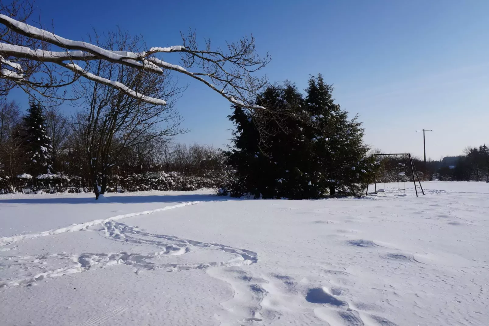 Domaine des Bouts de Fagnes-Garden winter