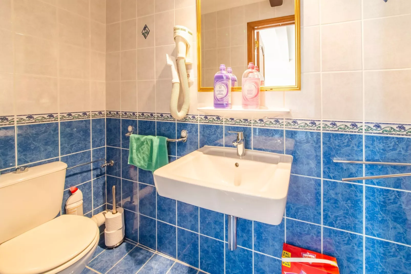 La Roustiere-Salle de bain