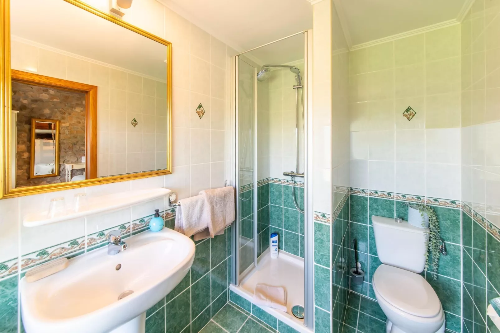 La Roustiere-Salle de bain