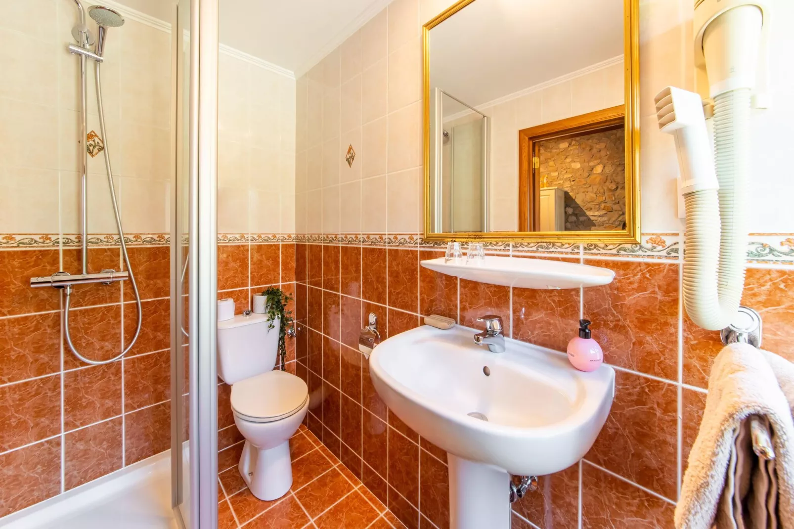 La Roustiere-Salle de bain
