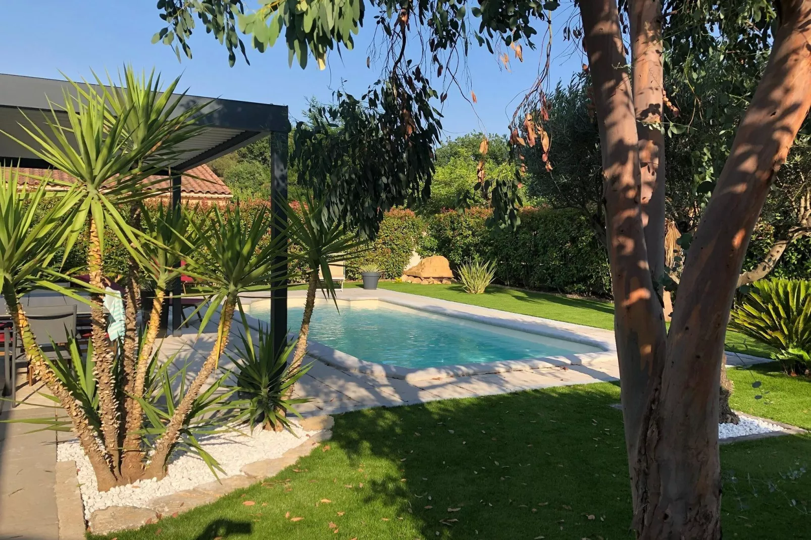 Petit Maure-View summer