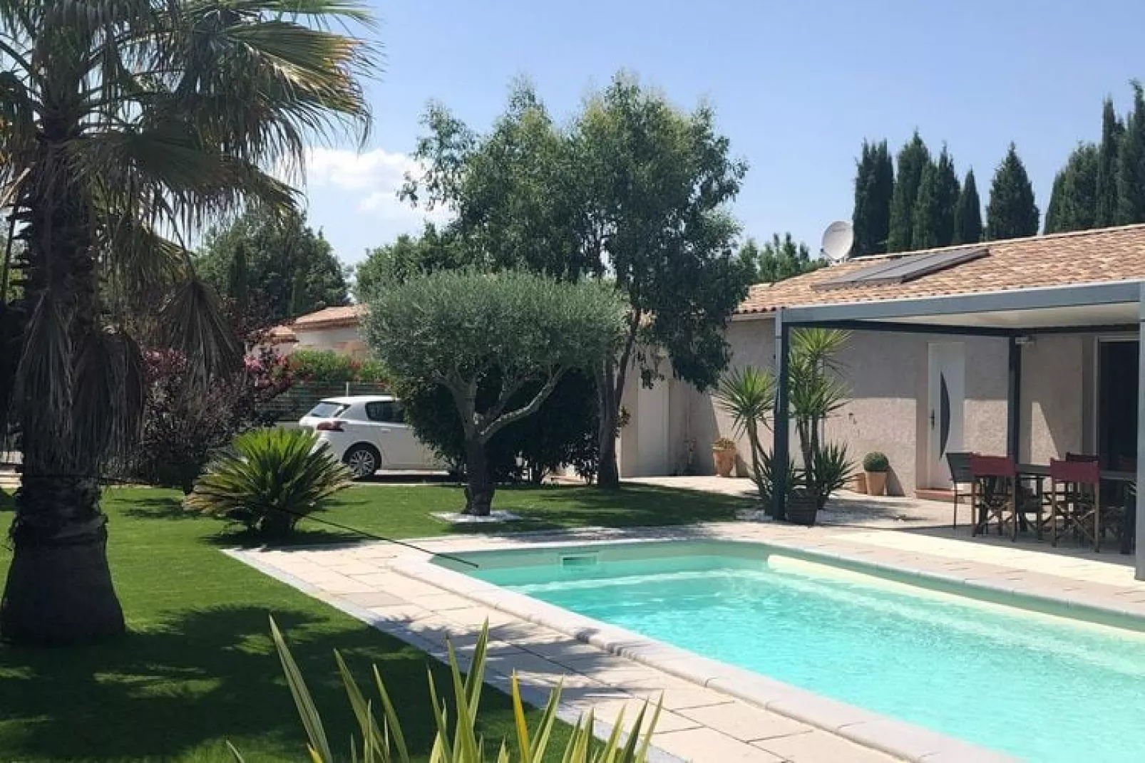 Petit Maure-Pool