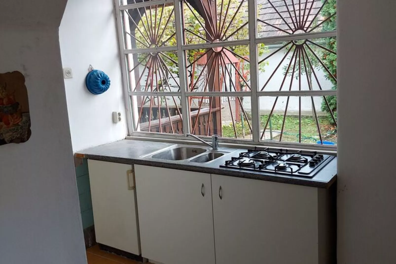 Vakantiewoning Landzicht Hungary-Kitchen
